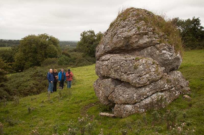 Cat Stone at the Hill of Uisneagh