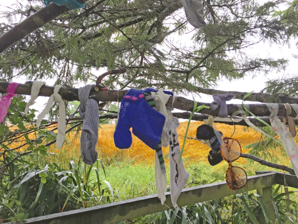 Tokens - "clooties" left on the branches.