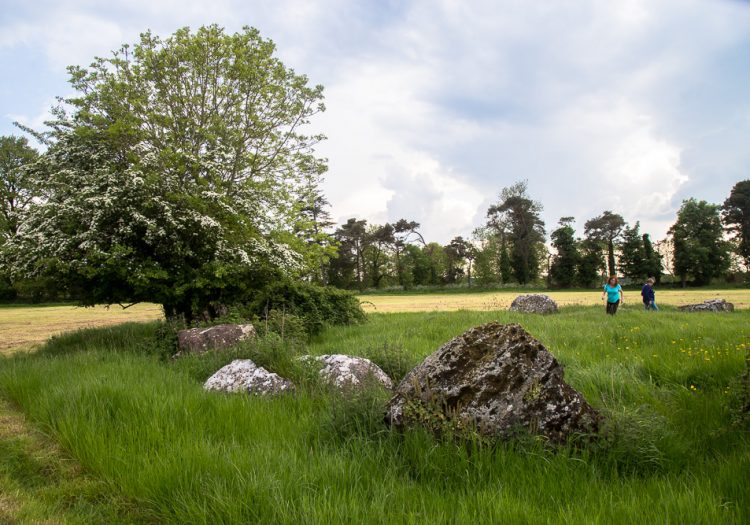 Fairy Tree at Grange Stone Circle