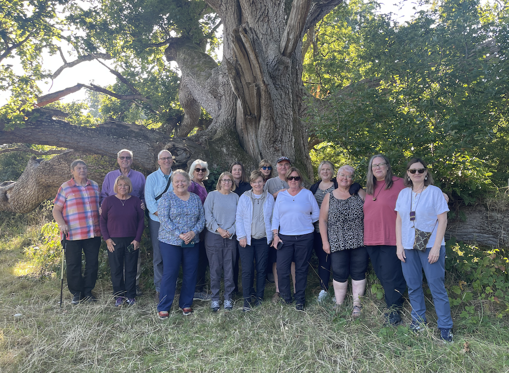 Thin Places Tours guests at the King Oak in Charleville Oak Forest