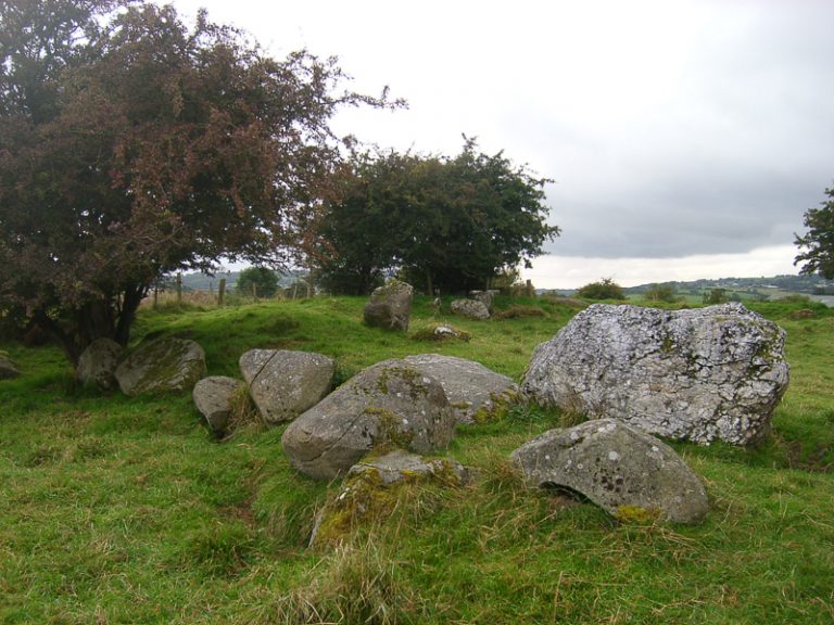 Castleruddery Druid Stone Circle - Wicklow - Travel to Thin Places ...