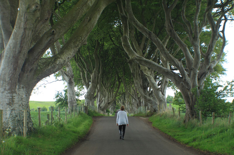 Discover the North - Ireland - September 2016 - Travel to