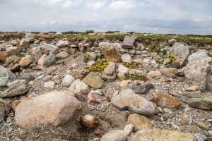 human remains unearthed at storm beach connemara